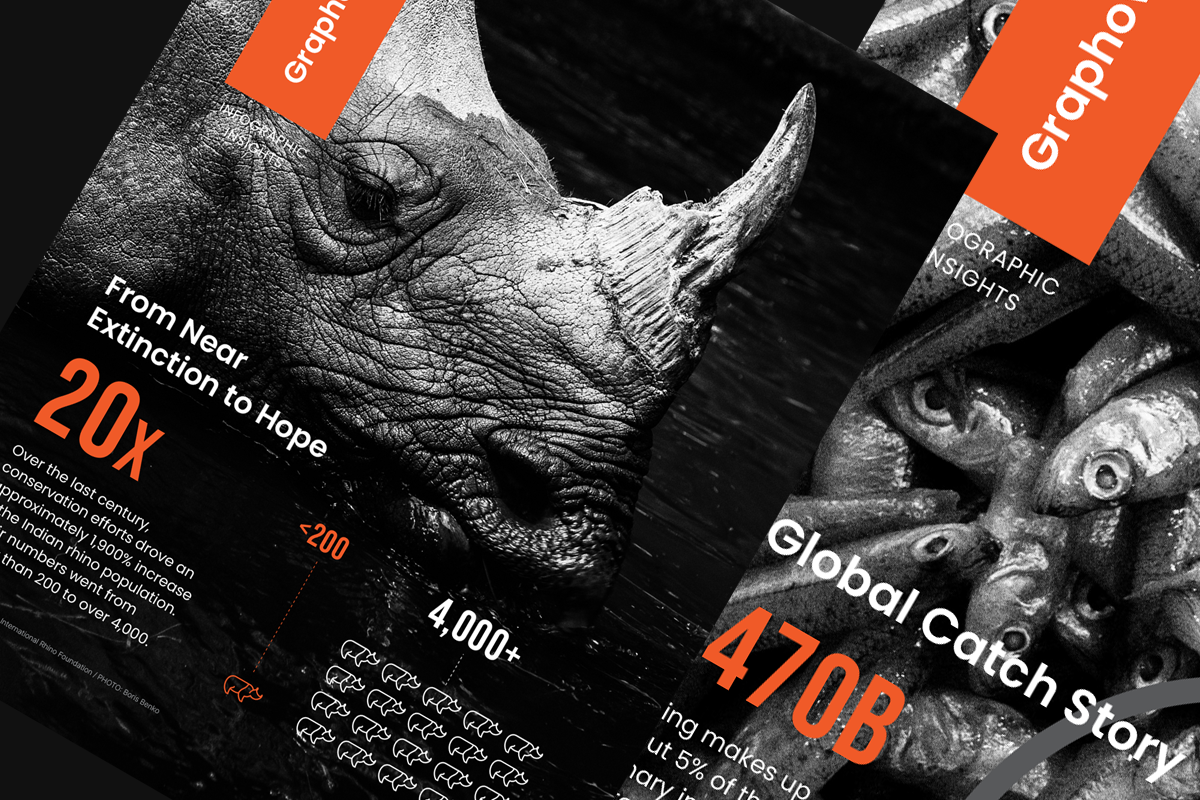 Graphonaut Magazine - Overview