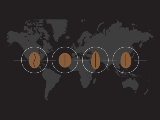 Coffee – The Magical Drink Loved Worldwide