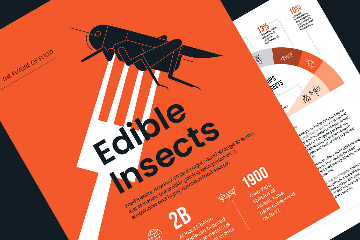 Graphonaut Magazine 02 - OVERVIEW - Edible Insects