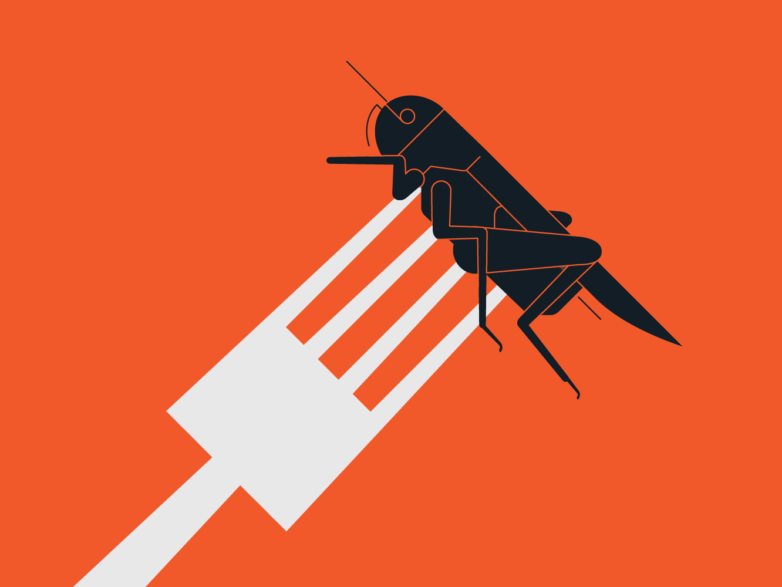 Edible Insects: The Future of Food?