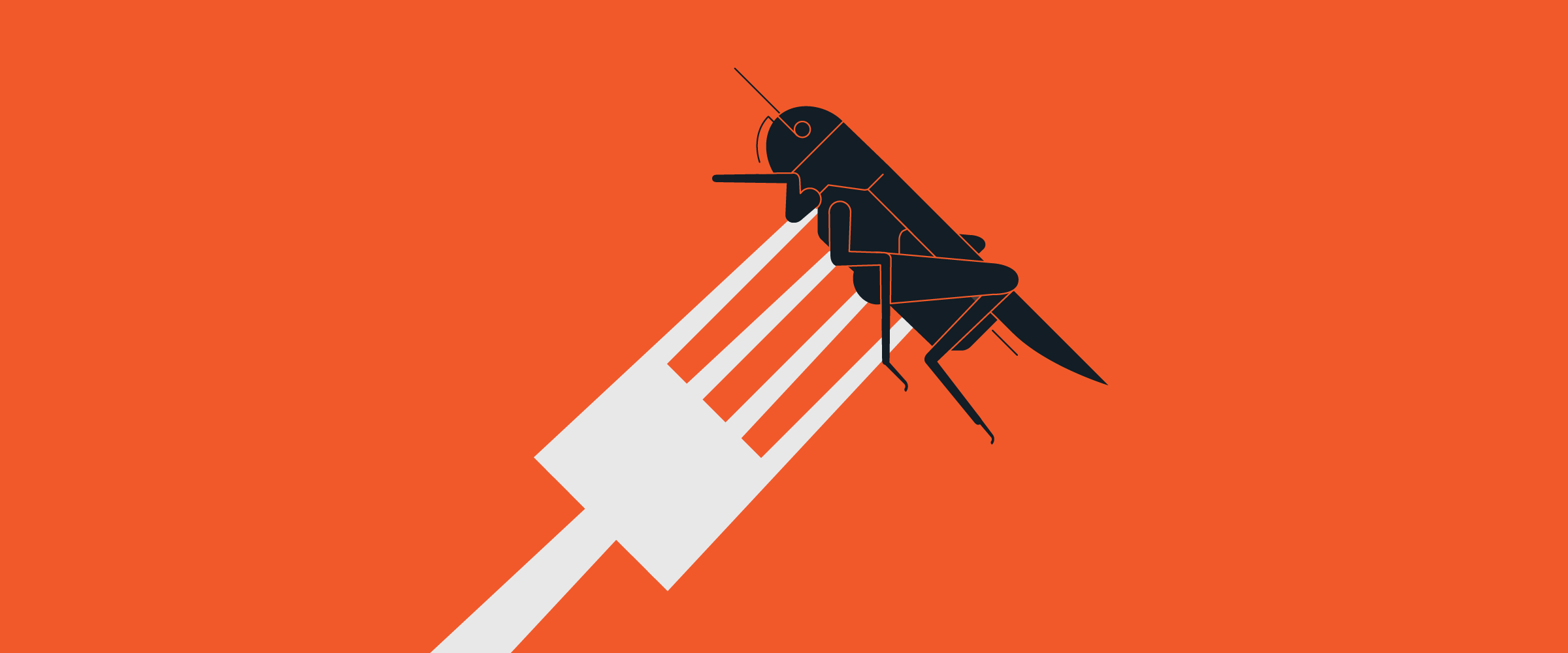 Edible Insects: The Future of Food?