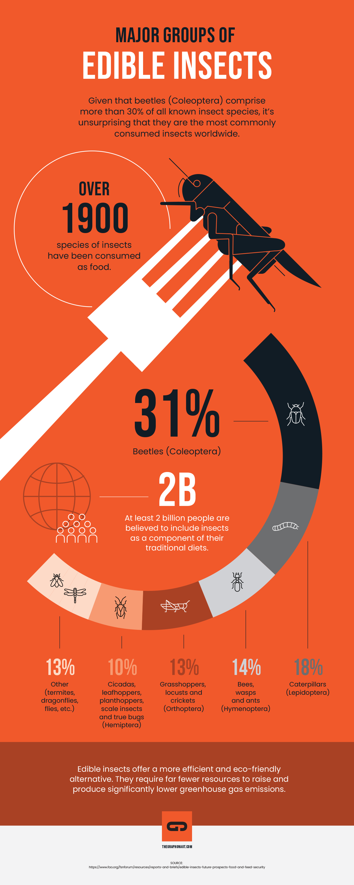 INFOGRAPHIC - Edible Insects - Graphonaut