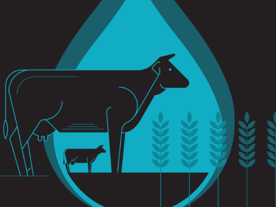 The Water We Don’t See: The Story of the Water Footprint