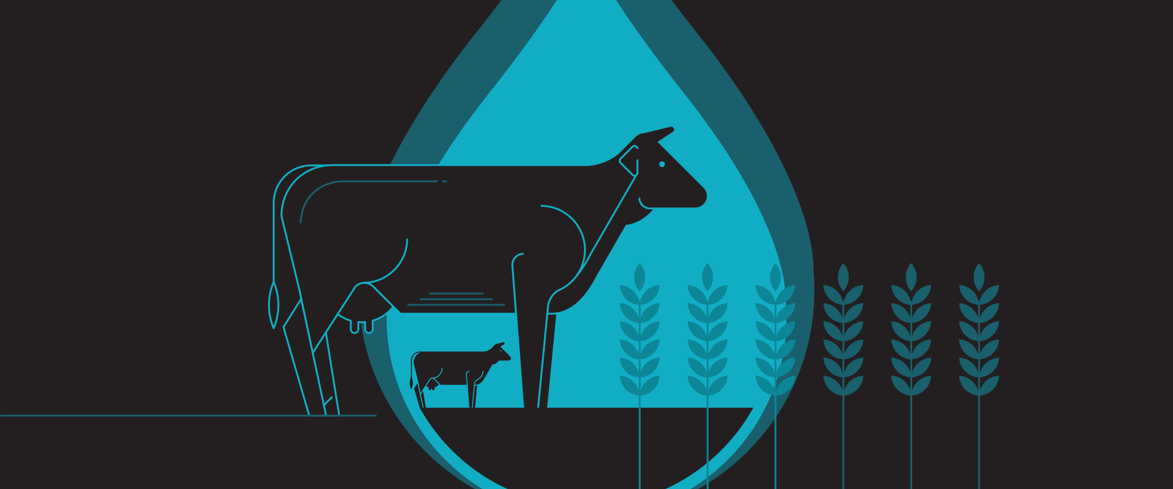 The Water We Don’t See: The Story of the Water Footprint