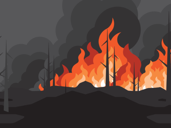 Hotter, Drier, Longer: Climate Change Effects on Forest Fires