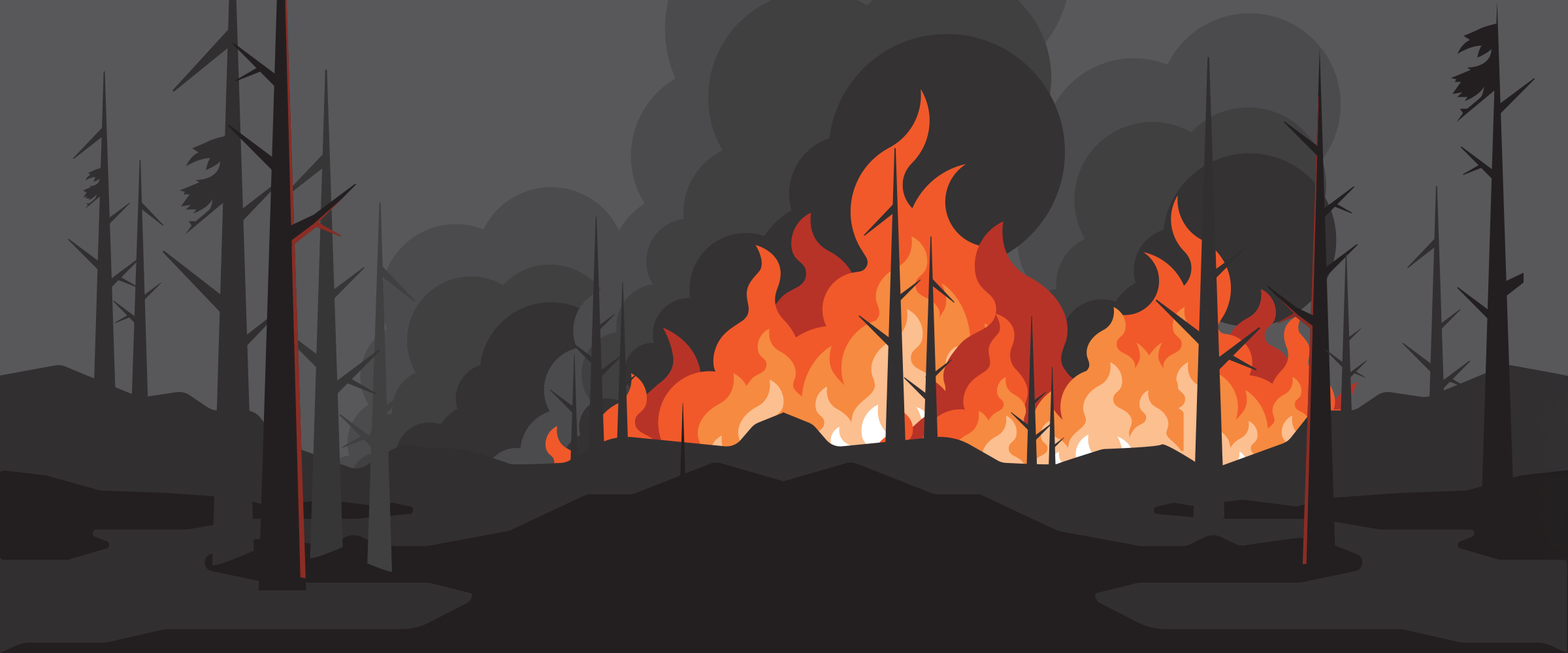 Hotter, Drier, Longer: Climate Change Effects on Forest Fires