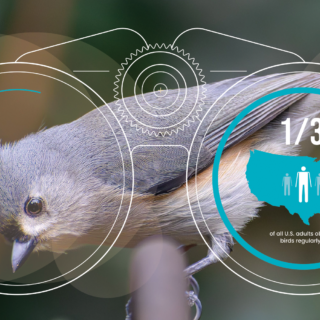 Sustainable Development Goals: Zero Hunger