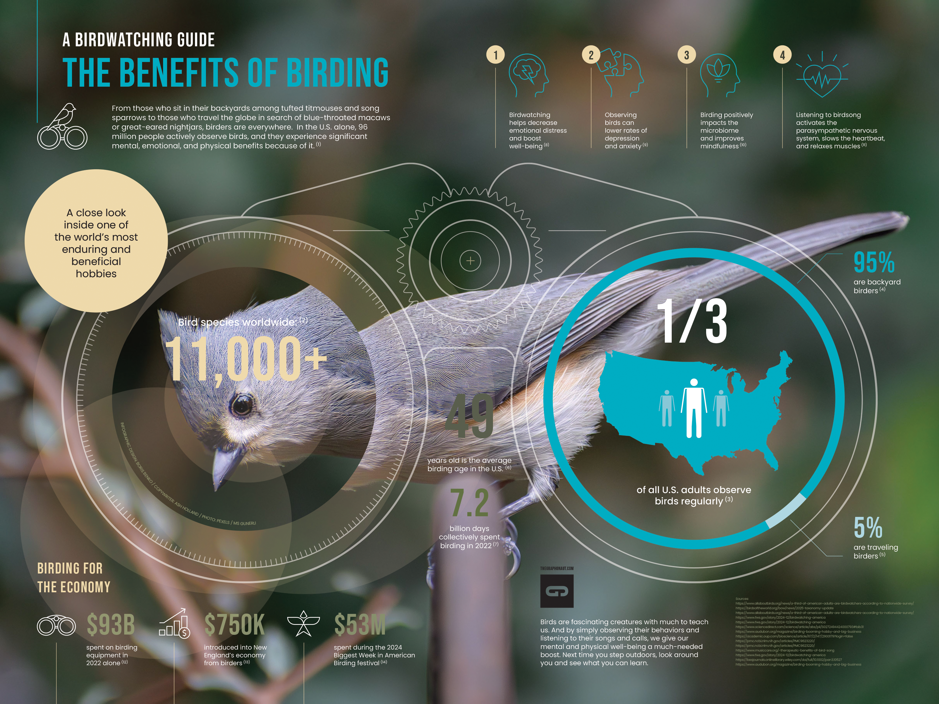 INFOGRAPHIC - Birdwatching Guide - The Benefits of Birding